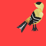 13 Backyard Bird Crafts Collection (Digital Download)