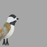 13 Backyard Bird Crafts Collection (Digital Download)