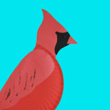 13 Backyard Bird Crafts Collection (Digital Download)