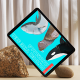 Under the Sea Paper Plate Animal Crafts Collection