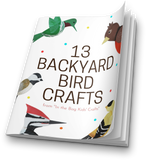 13 Backyard Bird Crafts Collection (Digital Download)
