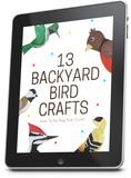 13 Backyard Bird Crafts Collection (Digital Download)