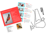 13 Backyard Bird Crafts Collection (Digital Download)