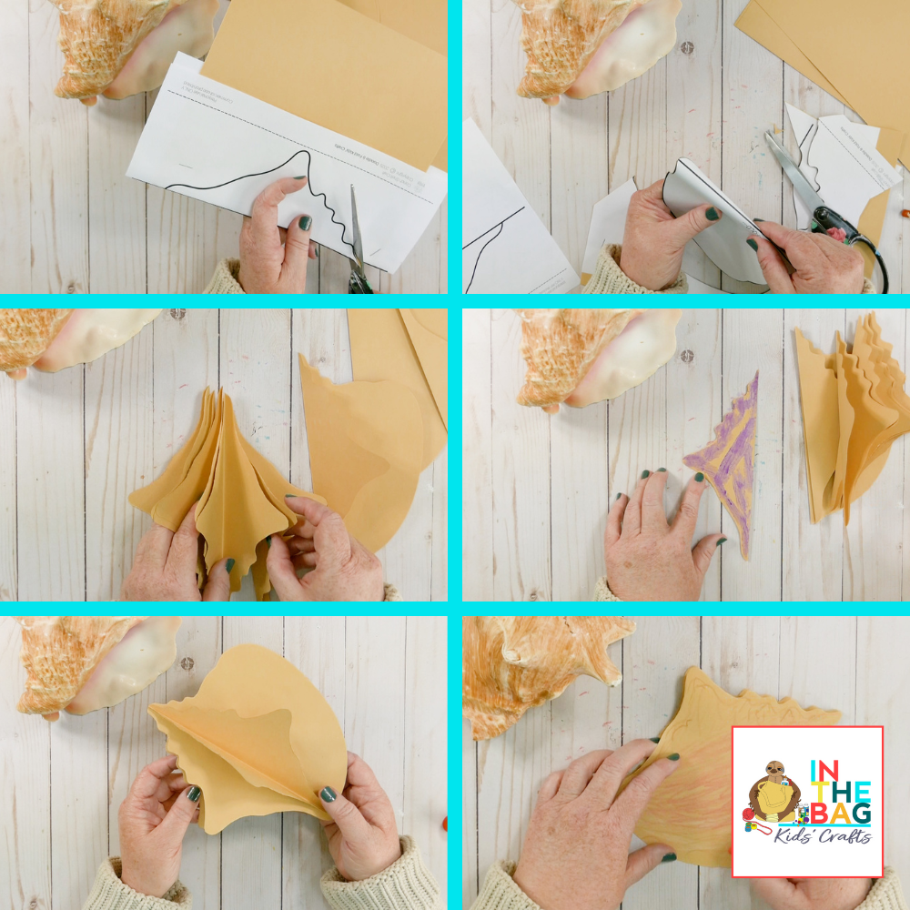 Shell Paper Construction 3D Paper Conch Shell Craft – In the Bag Kids' Crafts