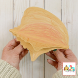 3D Paper Conch Shell Craft