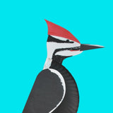 13 Backyard Bird Crafts Collection (Digital Download)
