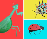13 Super Cool Bug Crafts Collection (Digital Download)